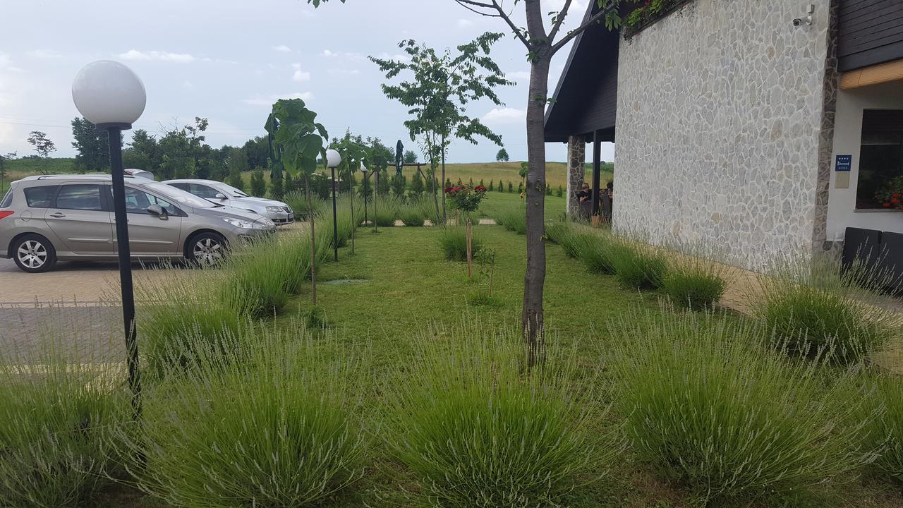 Villa Stone ราโควิซา ภายนอก รูปภาพ
