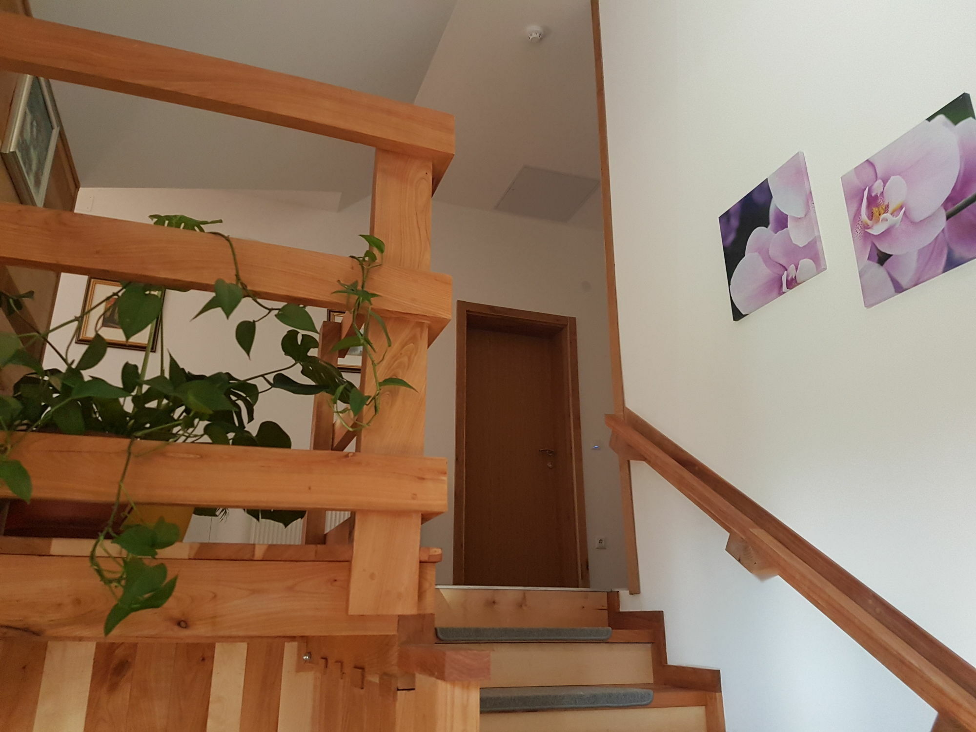 Villa Stone ราโควิซา ภายนอก รูปภาพ
